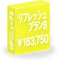 ホームページリニューアルプラン2
